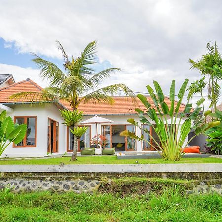 Villa Sawah Ramah Ουμπούντ Εξωτερικό φωτογραφία